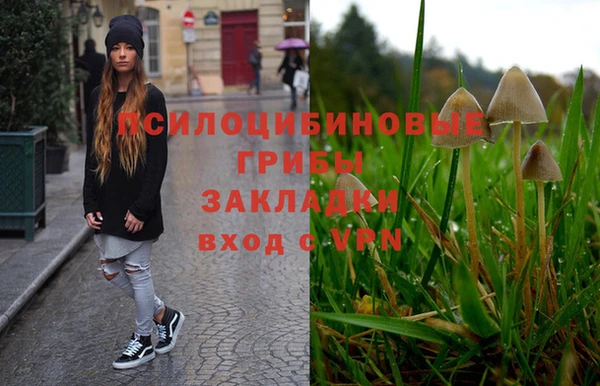 меф Алексин