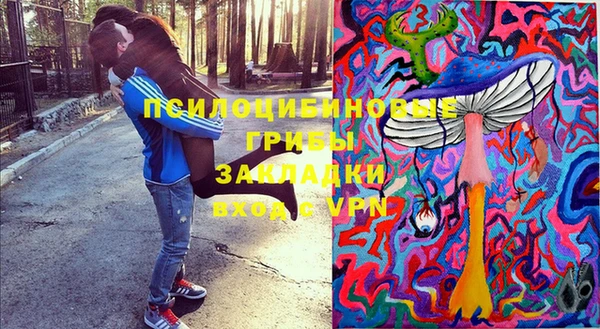 соль курить ск Алзамай