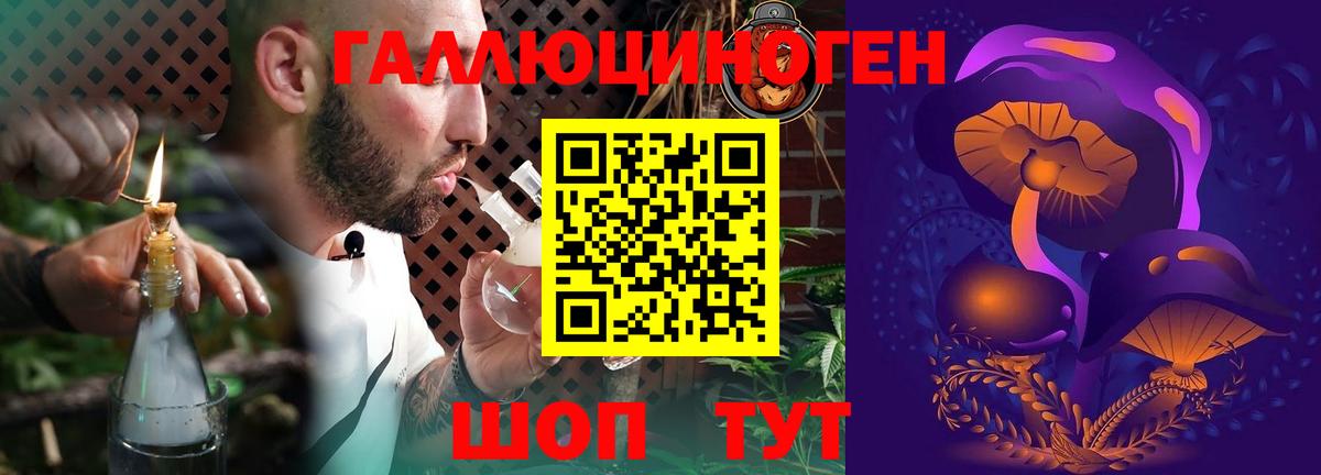 Тольятти  Псилоцибиновые грибы Psilocybe  Вход с VPN 